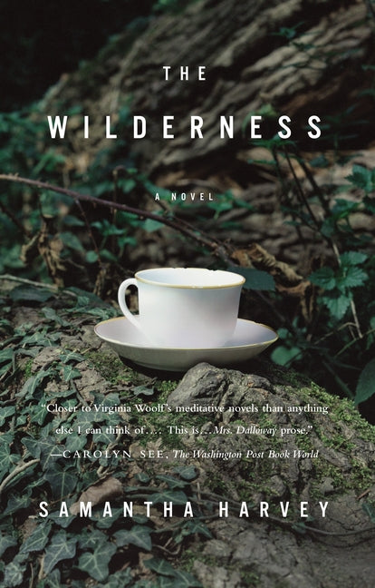 Book cover for Wilderness