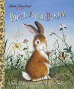 Book cover for Home for a Bunny: A Bunny Book for Kids