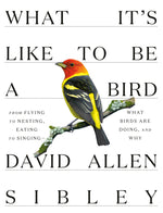 Book cover for What It's Like to Be a Bird: From Flying to Nesting, Eating to Singing--What Birds Are Doing, and Why