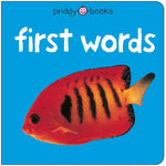Book cover for First Words