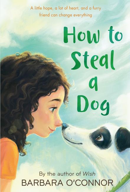 Book cover for How to Steal a Dog