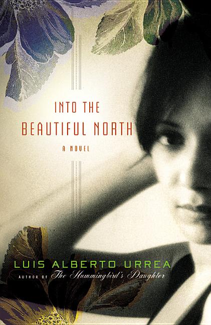Book cover for Into the Beautiful North