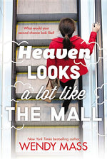 Book cover for Heaven Looks a Lot Like the Mall