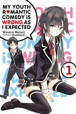 Book cover for My Youth Romantic Comedy Is Wrong, as I Expected, Vol. 1 (Light Novel)