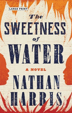 Book cover for The Sweetness of Water