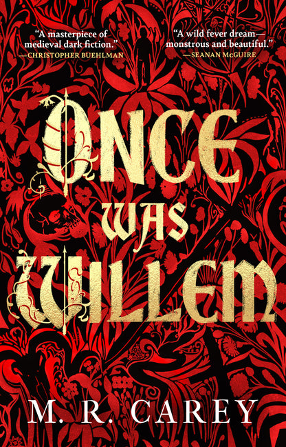 Book cover for Once Was Willem