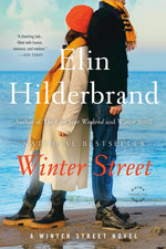 Book cover for Winter Street
