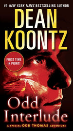 Book cover for Odd Interlude