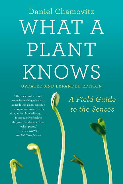Book cover for What a Plant Knows: A Field Guide to the Senses: Updated and Expanded Edition