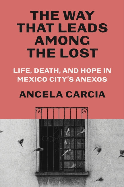 Book cover for The Way That Leads Among the Lost: Life, Death, and Hope in Mexico City's Anexos