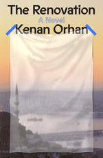 Book cover for Renovation