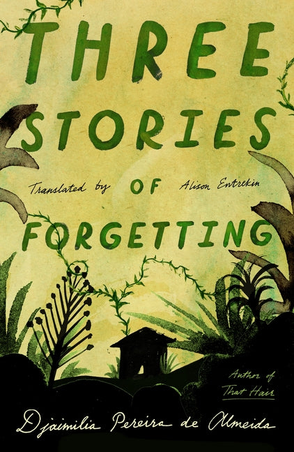 Book cover for Three Stories of Forgetting