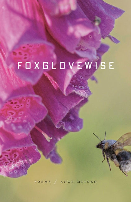 Book cover for Foxglovewise: Poems