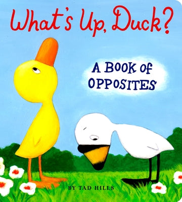 Book cover for What's Up, Duck?: A Book of Opposites