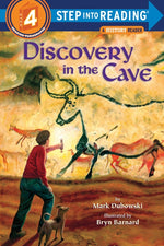 Book cover for Discovery in the Cave