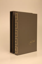 Book cover for Rogue Lawyer