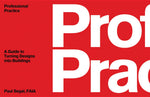 Book cover for Professional Practice: A Guide to Turning Designs Into Buildings