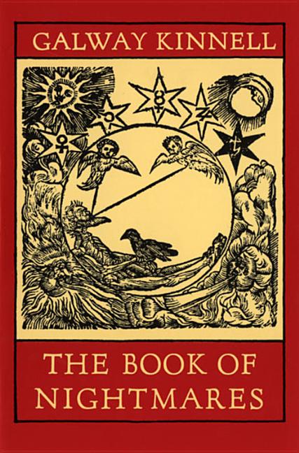 Book cover for Book of Nightmares