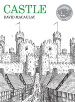 Book cover for Castle