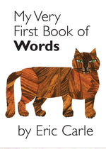 Book cover for My Very First Book of Words