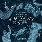 Book cover for What We See in the Stars: An Illustrated Tour of the Night Sky