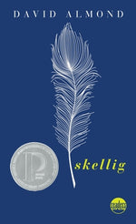 Book cover for Skellig