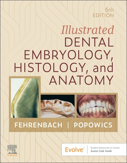 Book cover for Illustrated Dental Embryology, Histology, and Anatomy