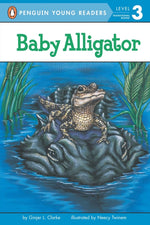Book cover for Baby Alligator