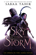 Book cover for A Sky Beyond the Storm