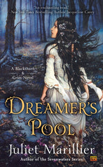 Book cover for Dreamer's Pool