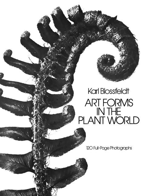 Book cover for Art Forms in the Plant World