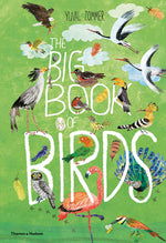 Book cover for The Big Book of Birds