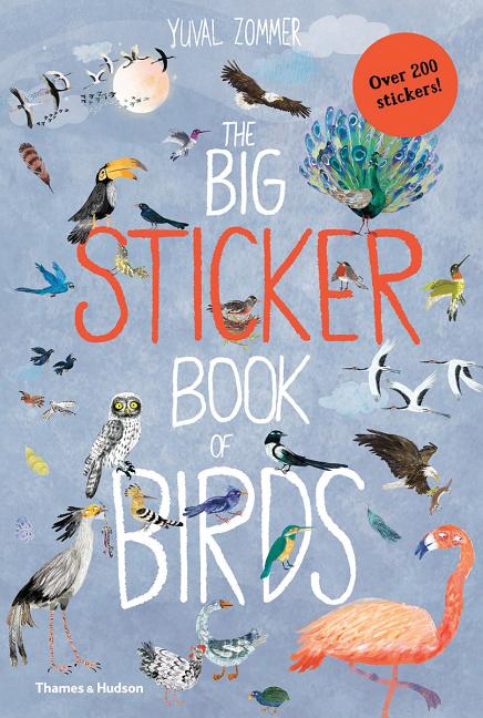 Book cover for Big Sticker Book of Birds
