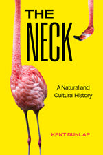 Book cover for Neck: A Natural and Cultural History