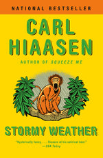 Book cover for Stormy Weather