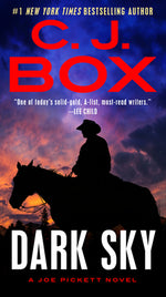 Book cover for Dark Sky