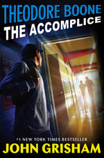 Book cover for The Accomplice