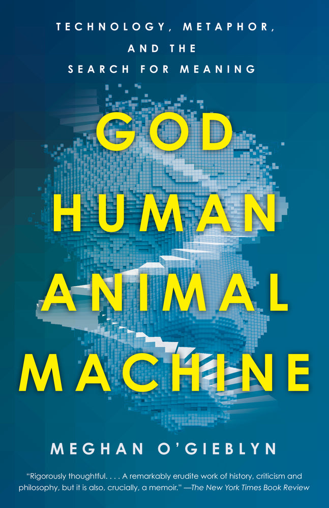 Book cover for God, Human, Animal, Machine: Technology, Metaphor, and the Search for Meaning