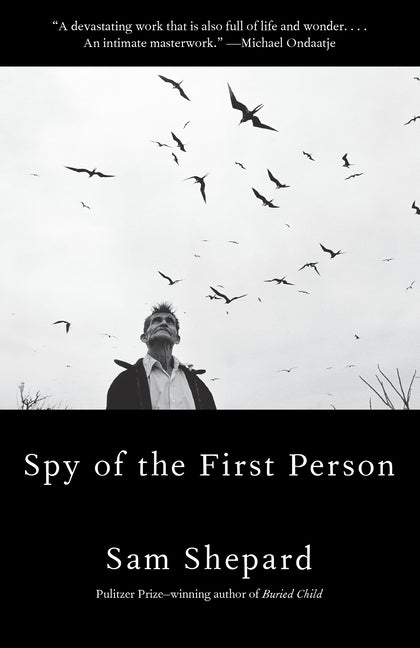 Book cover for Spy of the First Person