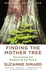 Book cover for Finding the Mother Tree: Discovering the Wisdom of the Forest