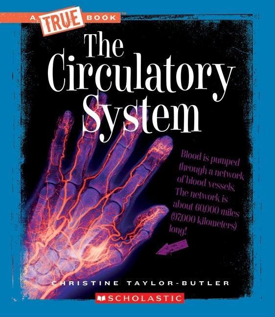 Book cover for Circulatory System