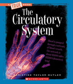 Book cover for Circulatory System