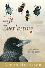 Book cover for Life Everlasting: The Animal Way of Death