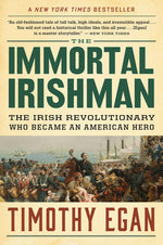 Book cover for The Immortal Irishman: The Irish Revolutionary Who Became an American Hero
