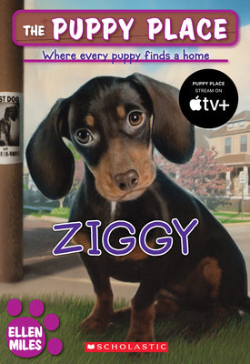Book cover for Ziggy (the Puppy Place #21)