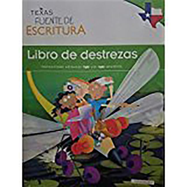 Book cover for Skillsbook Student Edition Grade 4