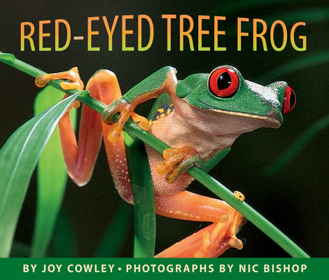 Book cover for Red-Eyed Tree Frog