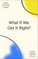 Book cover for What If We Get It Right?: Visions of Climate Futures