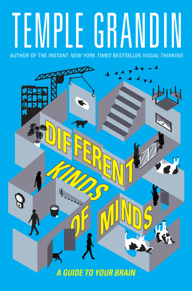 Book cover for Different Kinds of Minds: A Guide to Your Brain