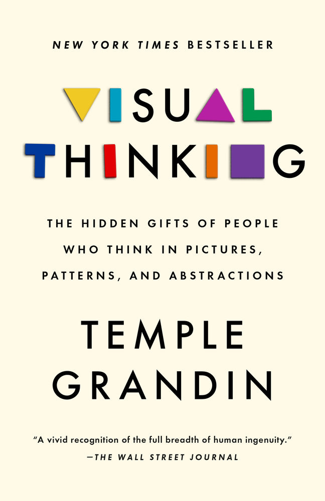 Book cover for Visual Thinking: The Hidden Gifts of People Who Think in Pictures, Patterns, and Abstractions